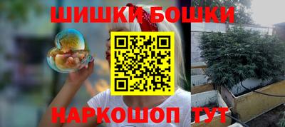индика Краснознаменск