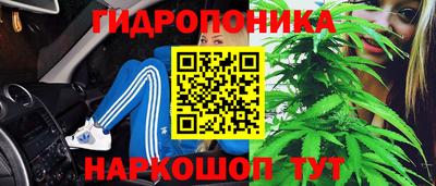 индика Краснознаменск