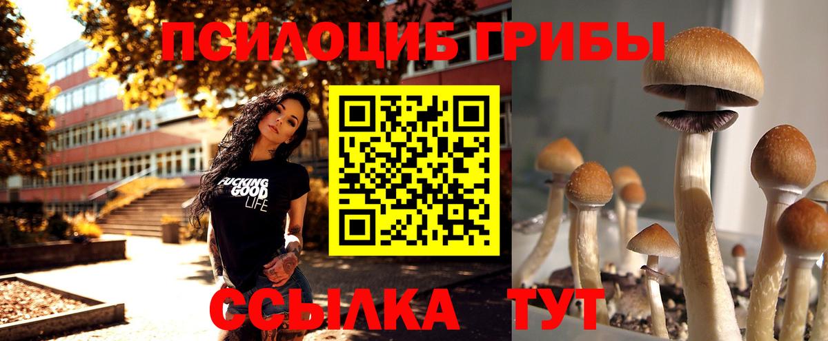 Галлюциногенные грибы мицелий Кемерово