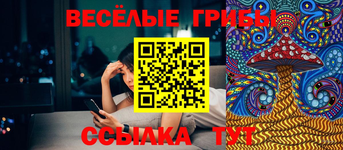 Кемерово  Галлюциногенные грибы Magic Shrooms  Вход с VPN 